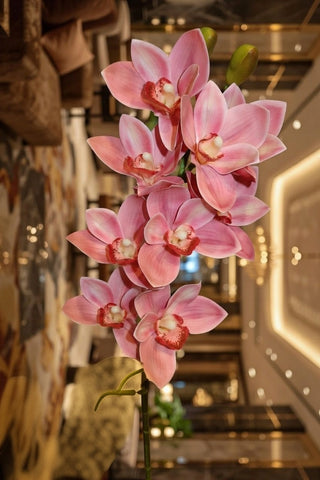 Lule dekorative Hagel