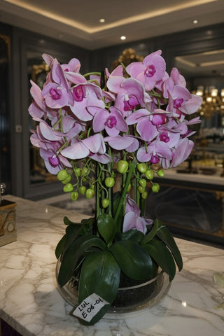 Lule dekorative Hagel